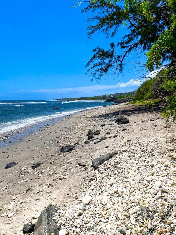 Le Petrel Bleu - Appartement Sur La Plage Des Tortues A Saint-Leu Zewnętrze zdjęcie