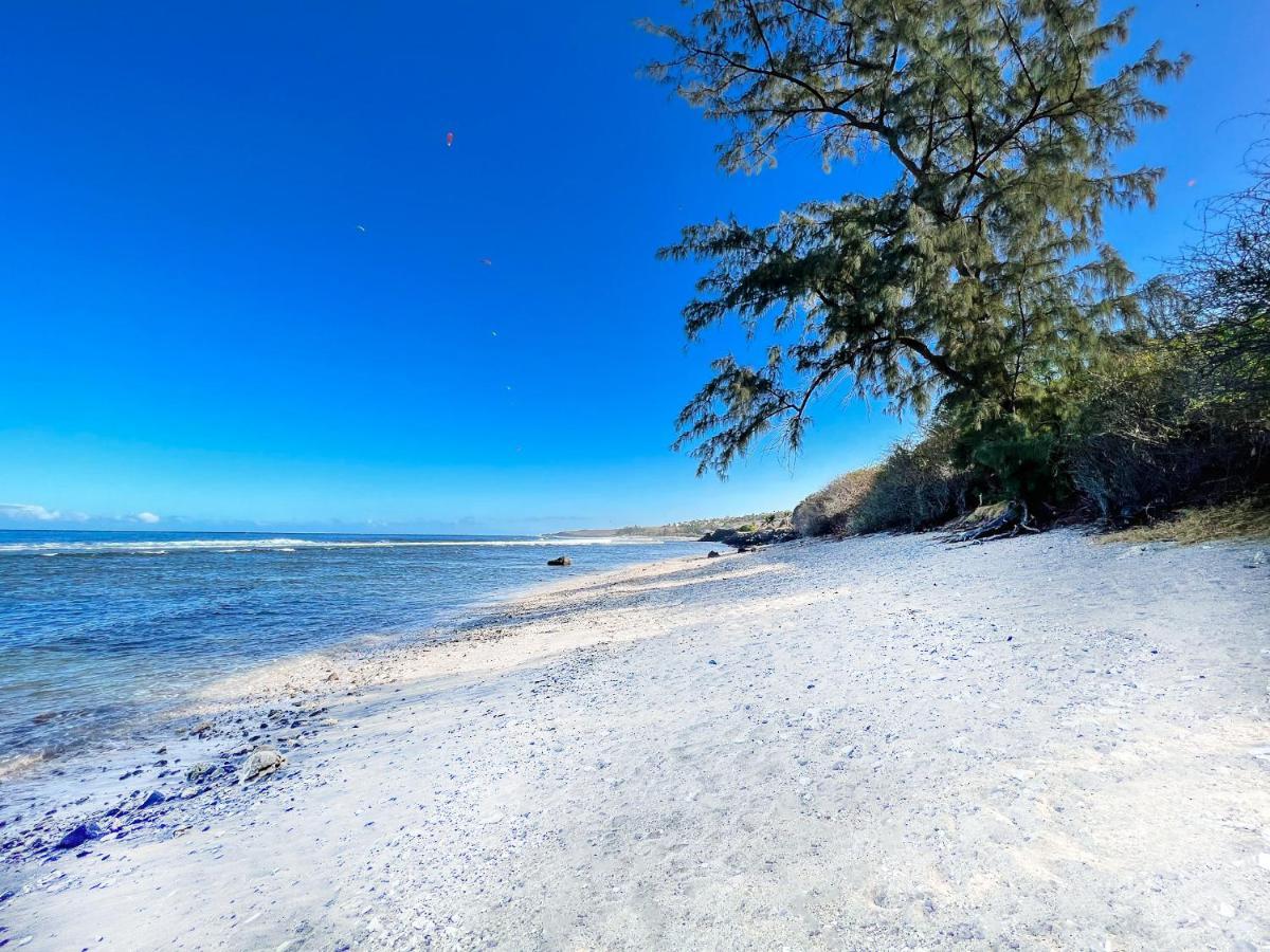 Le Petrel Bleu - Appartement Sur La Plage Des Tortues A Saint-Leu Zewnętrze zdjęcie